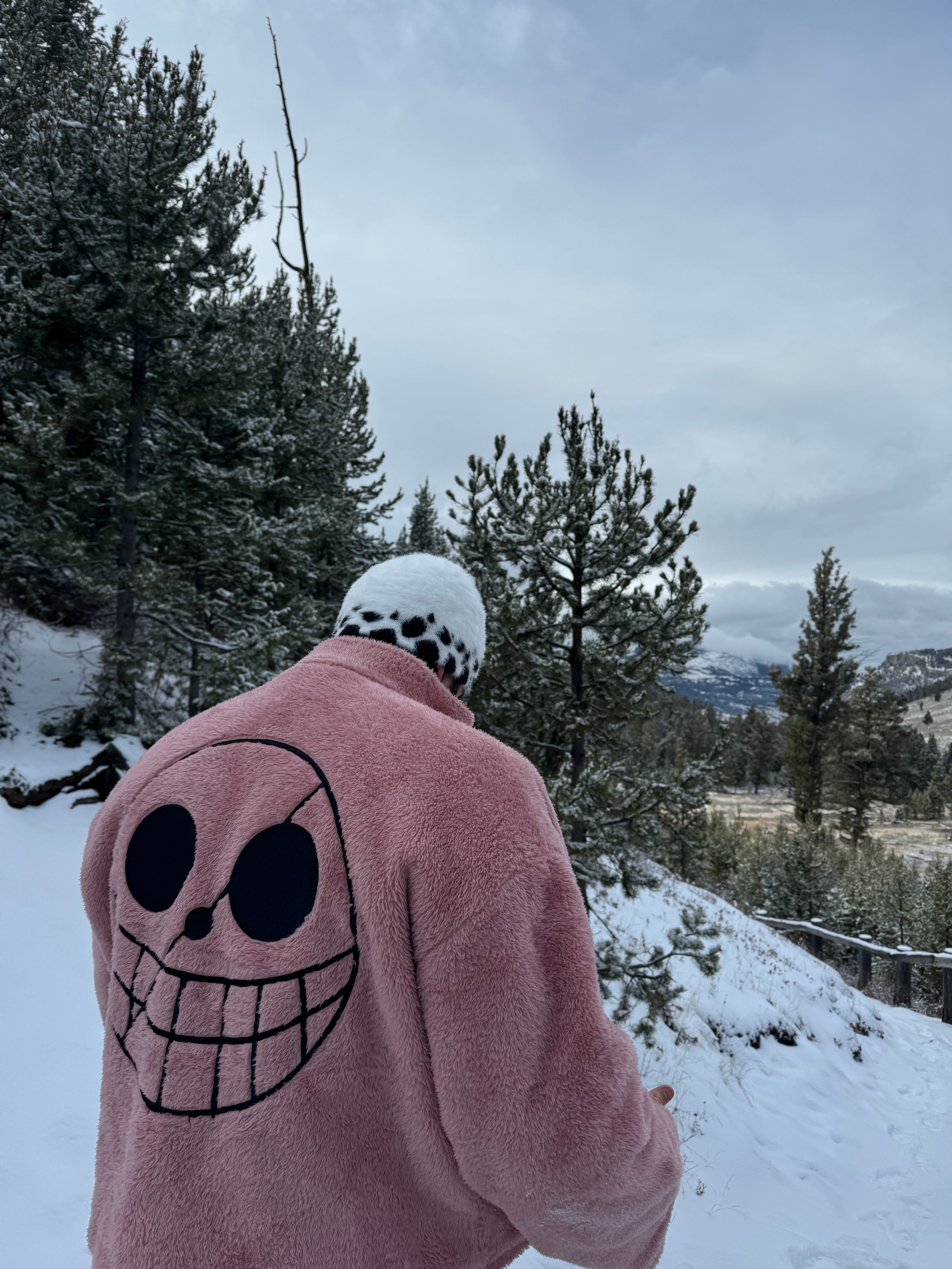 Law Beanies